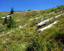 Mt. St. Helens 25 years later.
