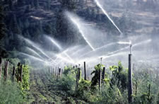 watering