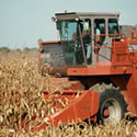 Harvests and Irrigation