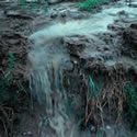 Agricultural and Sewage Run-off