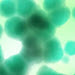 Ammonification
