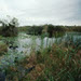 Denitrification