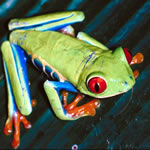 apes_treefrog_580x387