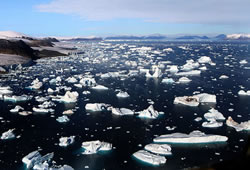 Glaciers and Icebergs