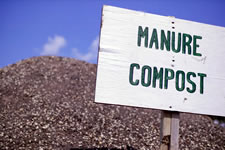 Soil Fertility