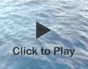 Click to play video.