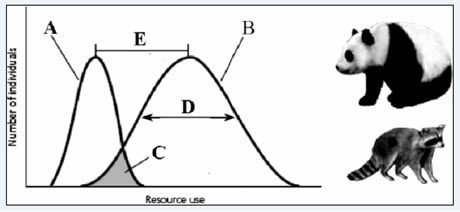 A graph showing the niches of two different types of species – a generalist and specialist