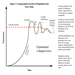 J Shaped Curve