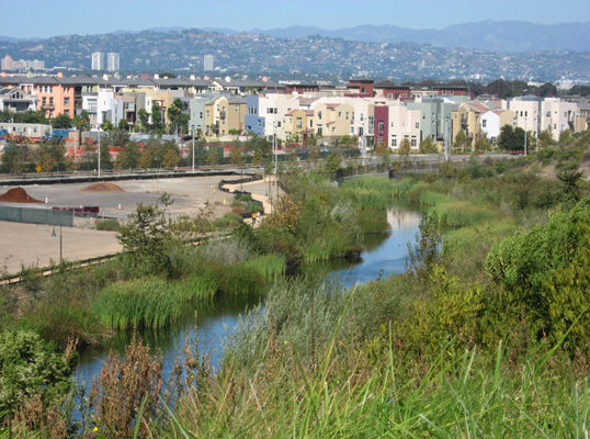 wetlands
