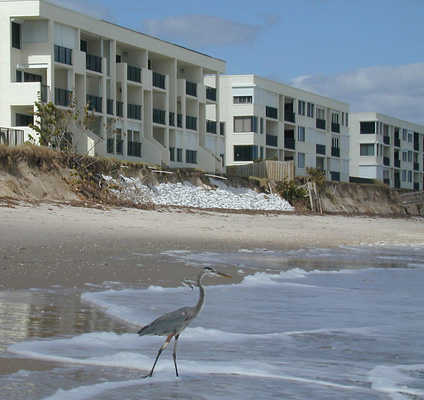 beach erosion