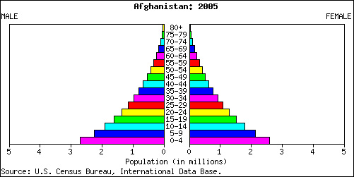 An age structure diagram for Afghanistan showing a large number of young people in the population.