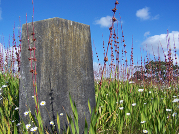 gravestone