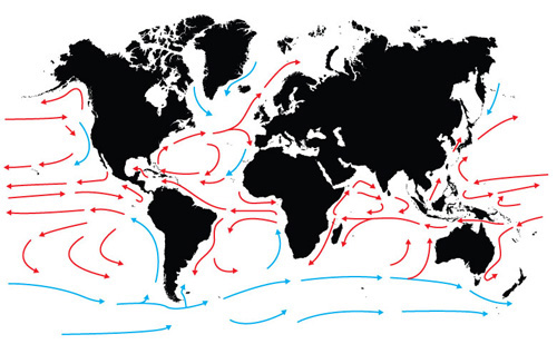 the movement of the major ocean currents, showing warm and cold ocean currents