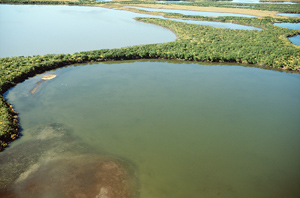 Eutrophic lake
