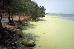 Hypertropic lake