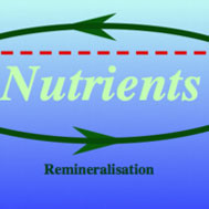 Nutrient cycling in ocean