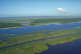 Wetlands in Louisiana