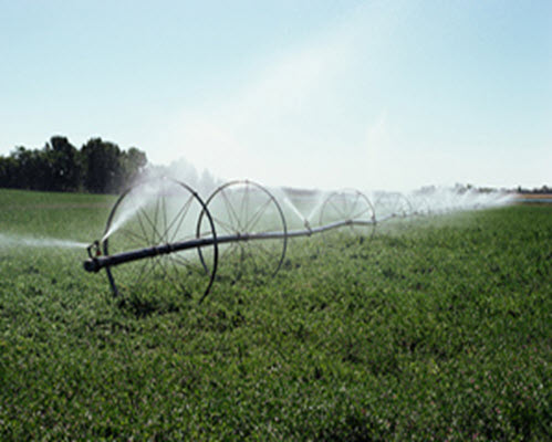 Using renewable resources faster than they can be replenished.