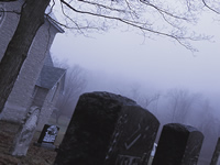 Spooky scene with tombstones and fog.