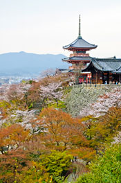 Kiyomizu-dera Temple