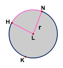 Circle L with points K, H, N on the circle and central angle HLN