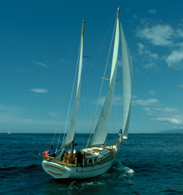 Sail Boat