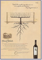 Elegant wine and vineyard advertisement
