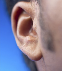 a human ear