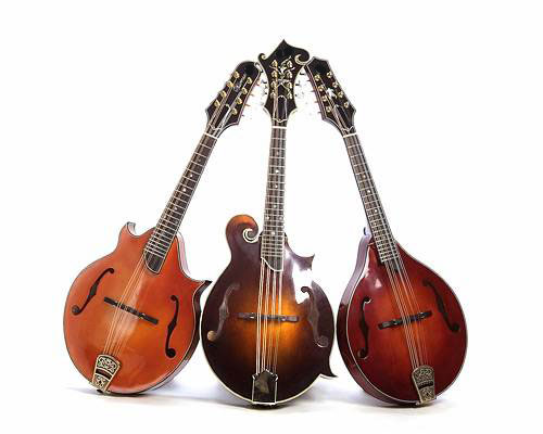 mandolin