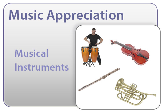 Various instruments from every family